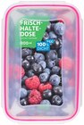 Frischhaltedose Angebote von Vivess bei REWE Ludwigshafen für 2,99 €