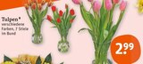 Tulpen bei tegut im Bad Salzungen Prospekt für 2,99 €