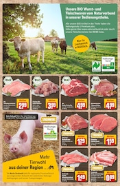 Steak im REWE Prospekt in Brühl Aktueller REWE Prospekt mit Steak, "Dein Markt", Seite 33