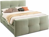 Boxspringbett „Star“ im aktuellen Segmüller Prospekt für 799,00 €
