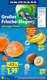 Kiwi Angebot & Preis im aktuellen Lidl Prospekt Kiwi Angebot im aktuellen Lidl Prospekt auf Seite 2