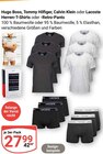 Herren-T-Shirts oder -Retro-Pants von Hugo Boss, Tommy Hilfiger, Calvin Klein, Lacoste im aktuellen GLOBUS Prospekt
