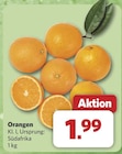combi Emden - Orangen Angebot im Prospekt Orangen bei combi im Emden Prospekt für 1,99 €
