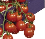 Aktuelles Cocktail Rispentomaten Angebot bei METRO in Aachen ab 10,69 €