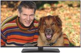 LED TV 43 LED 5241 B bei expert im Finsterwalde Prospekt für 379,00 €