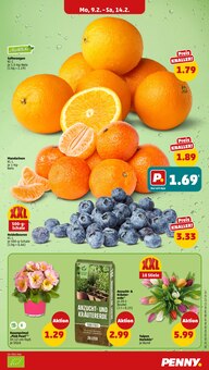 Obst im Penny Prospekt "Wer günstig will, muss Penny." mit 38 Seiten (Düsseldorf)