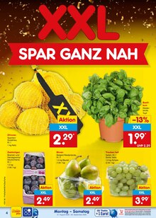 Pflanzen im aktuellen Netto Marken-Discount Prospekt (Remscheid) Pflanzen im Netto Marken-Discount Prospekt "Aktuelle Angebote" mit 66 Seiten (Remscheid)