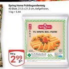 Frühlingsrollenteig im Angebot bei GLOBUS in Salzgitter Frühlingsrollenteig Angebote von Spring Home bei GLOBUS Salzgitter für 2,99 €