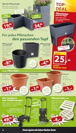 Aktueller Sonderpreis Baumarkt Prospekt mit Pflanzen, "... da, wo die coolen Preise wohnen!", Seite 14