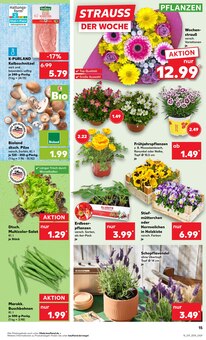 Lavendel im Kaufland Prospekt "Aktuelle Angebote" mit 48 Seiten (Dresden)