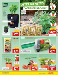 Gewächshaus Angebot im aktuellen Netto Marken-Discount Prospekt auf Seite 41