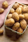 Pomme de terre primeur itm terroirs igp de noirmoutier et/ou aop de l'ile de ré - Intermarché à Charleville-Mézières Pomme de terre primeur itm terroirs igp de noirmoutier et/ou aop de l'ile de ré en promo chez Intermarché Charleville-Mézières à 2,49 €