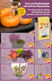 Ähnliches Angebot bei REWE in Prospekt "Dein Markt" gefunden auf Seite 15