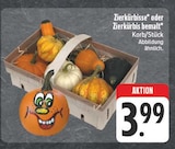 Zierkürbisse bei EDEKA im Lommatzsch Prospekt für 3,99 €