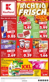 Aktueller Kaufland Supermarkt Prospekt in Luhme und Umgebung, "Aktuelle Angebote" mit 59 Seiten, 22.01.2026 - 28.01.2026
