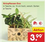 Netto Marken-Discount Rammingen Prospekt mit  im Angebot für 3,99 €