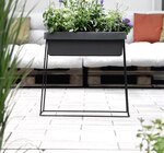 Blumenkasten „Viva“ bei Hornbach im Garbsen Prospekt für 9,99 €