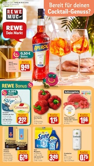 REWE Hallbergmoos Prospekt "Dein Markt" mit 20 Seiten