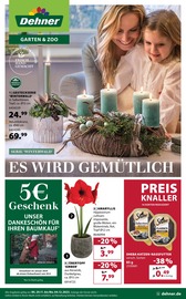 Garten im Dehner Garten-Center Prospekt in Schwäbisch Gmünd Aktueller Dehner Garten-Center Prospekt mit Garten, "Es wird gemütlich!", Seite 1