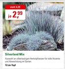 Silverland Mix im ZG Raiffeisen Prospekt zum Preis von 2,99 €
