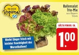 Ballensalat Trio-Mix im EDEKA Prospekt Ballensalat Trio-Mix von im aktuellen EDEKA Prospekt für 1,00 €