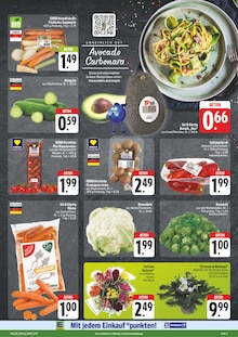 Pflanzen im EDEKA Prospekt "Wir lieben Lebensmittel!" mit 28 Seiten (Chemnitz)