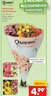 Kalanchoe Schnittblume von Queen im aktuellen Netto Marken-Discount Prospekt