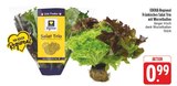 Aktuelle Salat Angebote bei E center in Nürnberg Aktuelles Fränkisches Salat Trio Angebot bei E center in Nürnberg ab 0,99 €