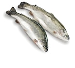 Aktuelles Forelle Angebot bei METRO in Freiburg (Breisgau) ab 9,62 €