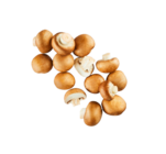 Kulturchampignons braun im Angebot bei ALDI Nord in Braunschweig Kulturchampignons braun Angebote bei ALDI Nord Braunschweig für 1,79 €