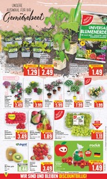 Bio Erdbeeren Angebot im aktuellen E center Prospekt auf Seite 5