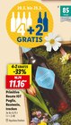 Primitivo Rosato IGT Puglia, Roséwein Angebot in Spaichingen Primitivo Rosato IGT Puglia, Roséwein im aktuellen Prospekt bei Lidl in Spaichingen