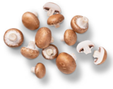 Shiitake-Pilze Angebote von Bioland bei Kaufland Erfurt für 1,99 €