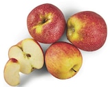 Tafeläpfel Wellant bei combi im Damme Prospekt für 1,49 €