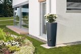 Récupérateur d'eau 2 en 1 "Vaso" 220 L en promo chez Jardiland Nancy à 129,00 €