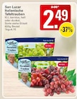 Italienische Tafeltrauben bei WEZ im Bad Nenndorf Prospekt für 2,49 €