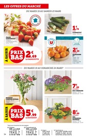 Plantes Angebote im Prospekt "Pâques À PRIX BAS" von Super U auf Seite 34