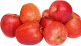 Aktuelles Äpfel Braeburn Angebot bei Lestra in Bremen ab 1,99 €