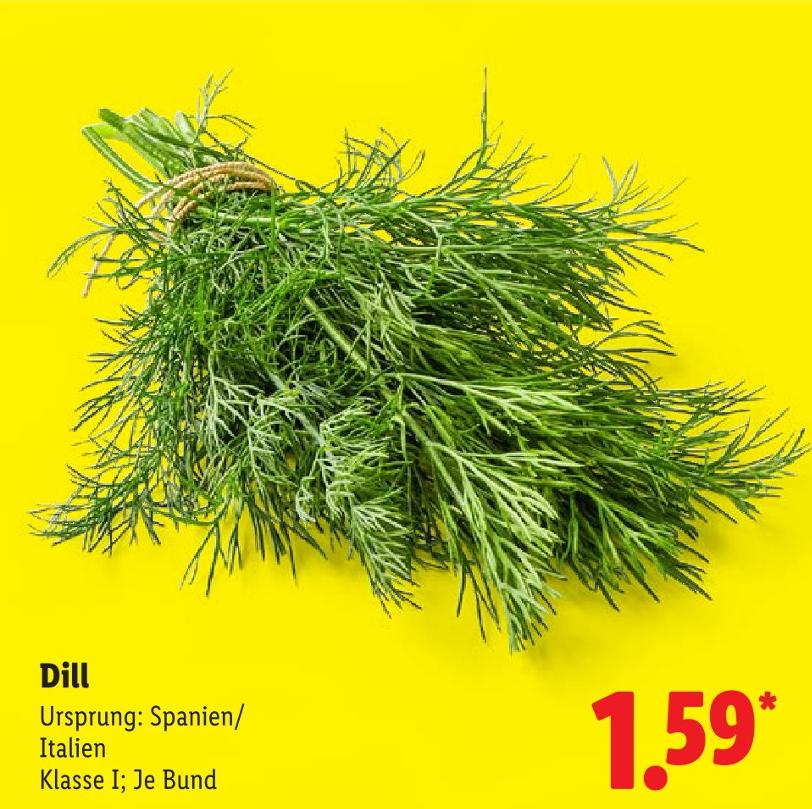 Dill