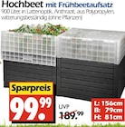 Hochbeet mit Frühbeetaufsatz bei Wreesmann im Prospekt "" für 99,99 €