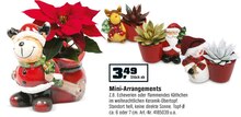Mini-Arrangements bei OBI in Bergheim Mini-Arrangements im Angebot bei OBI Bergheim für 3,49 €