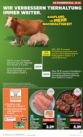 Aktueller Kaufland Prospekt mit Rumpsteak, "Aktuelle Angebote", Seite 23