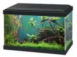 AQUARIUM CLASSIC NOIR + FILTRE CF40 - 20L - CIANO en promo chez Animalis AQUARIUM CLASSIC NOIR + FILTRE CF40 - 20L - CIANO dans le catalogue Animalis