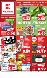 Aktueller Kaufland Supermarkt Prospekt in Dernau und Umgebung, "Aktuelle Angebote" mit 58 Seiten, 09.04.2026 - 15.04.2026