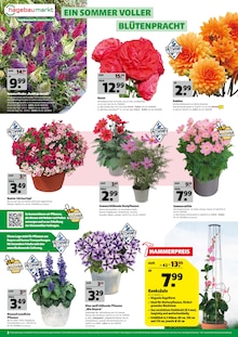 Aktueller Hagebaumarkt Prospekt "SOMMER-MODUS: AN!" Aktueller Hagebaumarkt Prospekt