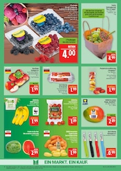 Bananen im Marktkauf Prospekt in Erlangen Aktueller Marktkauf Prospekt mit Bananen, "AUSWAHL RIESIG, PREISE NIEDRIG", Seite 10