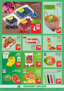 Eier im Marktkauf Prospekt "AUSWAHL RIESIG, PREISE NIEDRIG" mit 68 Seiten (Nürnberg)