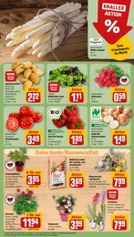Gemüseerde Angebot im aktuellen REWE Prospekt auf Seite 7