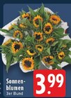 Sonnenblumen Angebote bei EDEKA Ahlen für 3,99 €