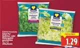 Endiviensalat Salat Pur von EDEKA Herzstücke im aktuellen E center Prospekt